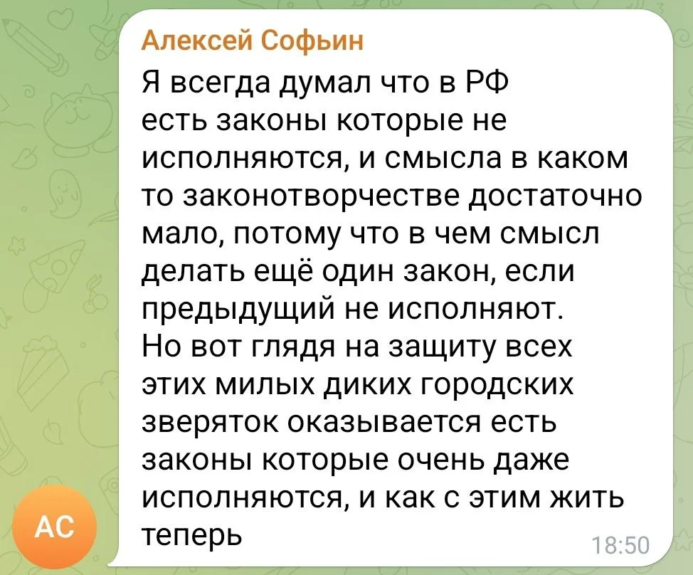 Изображение к публикации