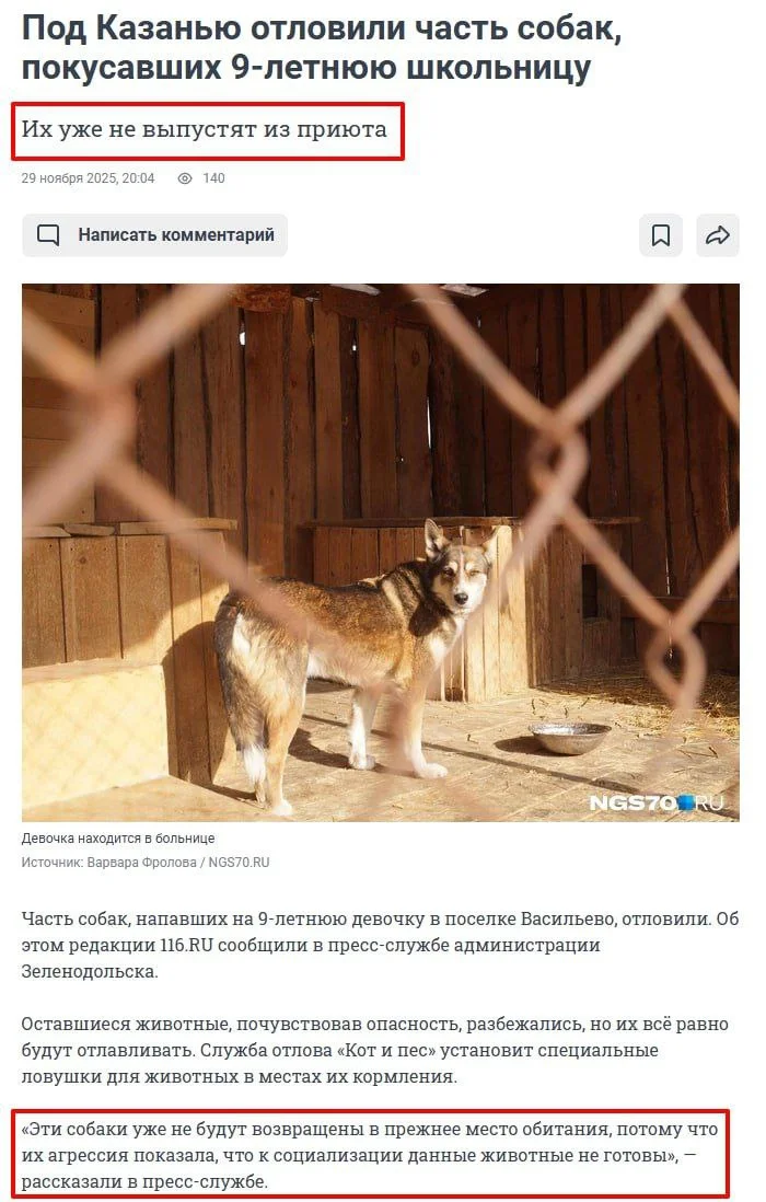 Изображение к публикации